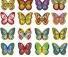Украшения вафельные бабочки цветные микс